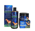 Roushun Anti-Hair Loss Combo – Shampoo & Treatment Set (2 × 300ml)